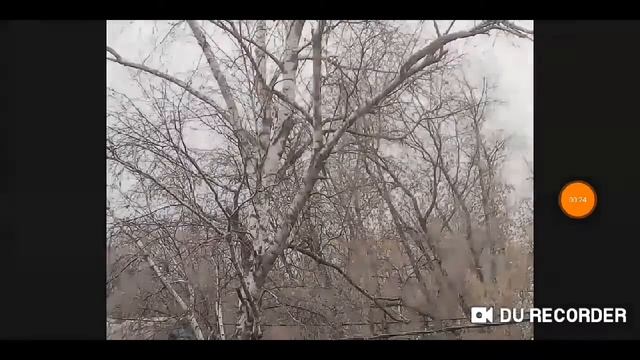 Волшебная Сказка⛄❄?