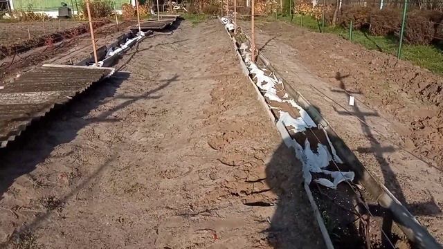 Самое лучшее укрытие винограда на зиму .Пора укрывать