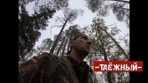 Как ходить по лесу на охоте с лайкой. НОЖ ДЛЯ ОХОТЫ