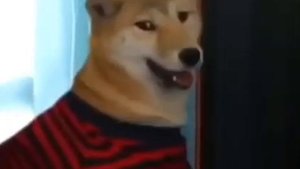 Уже и пошпилить не дают