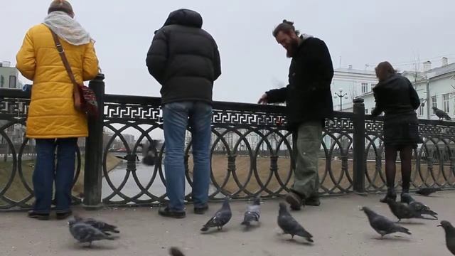 Казань. люди кормят голубей.14 апреля 2014 г., 16:20:42 .MVI 6433 смотреть онлайн