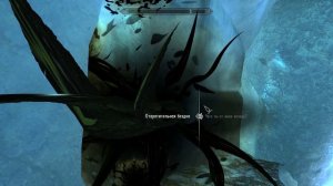 The Elder Scrolls V: Skyrim. Добыть кровь лесного эльфа. Прохождение от SAFa