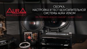 Безусилительная система на базе компонентов AurA VENOM