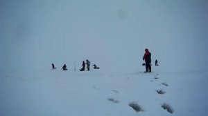 СУДАК на ВИБЫ! ШИКАРНАЯ РАЗДАЧА МЕСЯЦА.