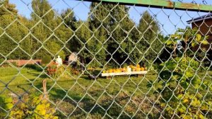 Боженки. Чудесные выходные на Горьковском водохранилище