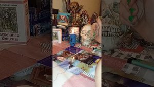 ЧТО НЕСЁТ ТЕБЕ НА БЛЮДЦЕ? ЭТА НЕДЕЛЯ? ТАРО#ВЕДЬМА#БЕЗ#ПРАВИЛ#