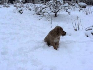 Ходим. Спустя две недели.
