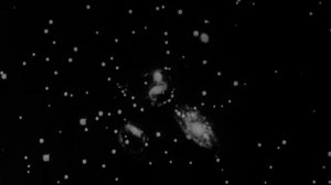 It's a Wonderful Life