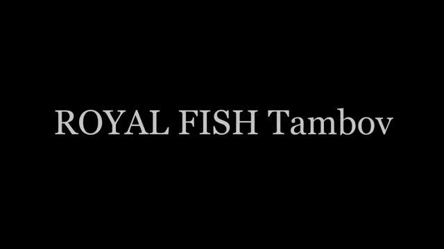 Ловля белого амура. Вид от первого лица. Рыбалка в Тамбове. Royal Fish Tambov. смотреть онлайн