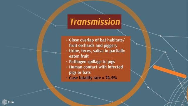 Nipah Virus