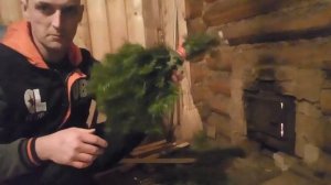 Делаю пихтовый банный веник