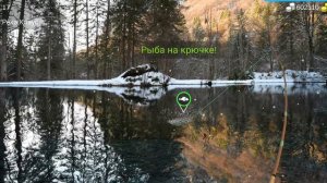 Большеротый окунь my fishing world