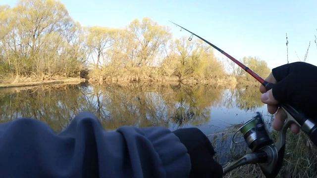Рыбалка на спиннинг! Жерех на спиннинг! Рыбалка на воблеры! Рязанская область. смотреть онлайн