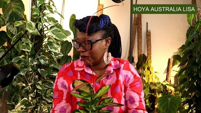 Top 15 Indoor Plants That Thrived in Winter 2022 || Indoor Plants Winter-The Leca Queen