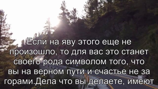 К чему снится Шашки? Толкование сна по сонникам Фрейда и Ванги смотреть онлайн