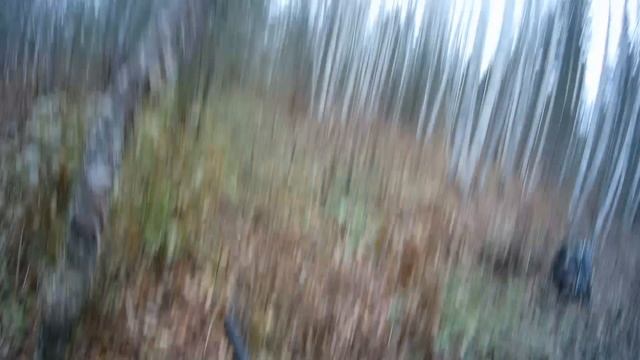 ОХОТА НА РЯБЧИКА С МАНКОМ. На боровую с ружьем ИЖ-27. смотреть онлайн