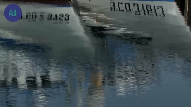 How clever is an octopus, really? | AI смотреть онлайн