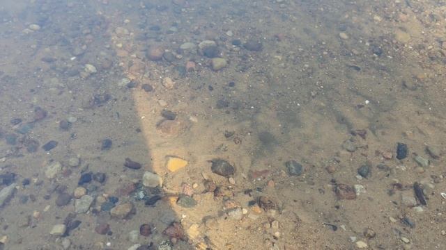 Лёгкая практика от Сергея ???.. Ана творит чудеса ... смотреть онлайн