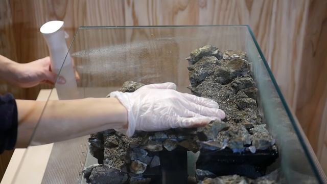 Making an Aquaterrarium with two flowing waterfalls смотреть онлайн