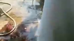 Разделка крокодила-2