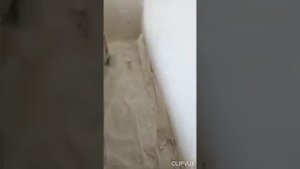 Вот что случается, если чистовую отделку дома делать в неотапливаемом помещении