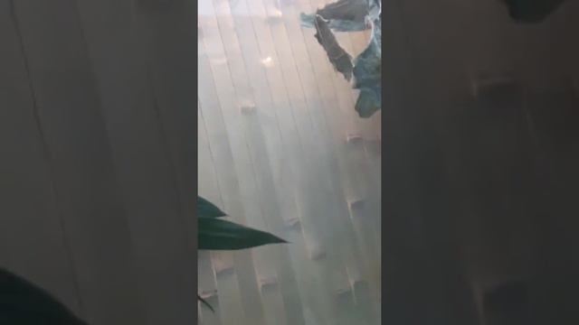 Московский зоопарк 2.Часть 2. смотреть онлайн