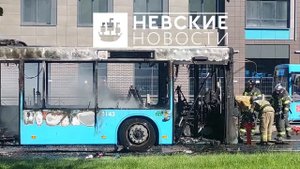 Второй за месяц лазурный автобус сгорел дотла в Петербурге