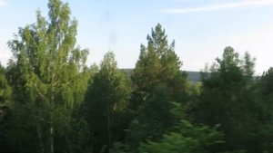 Вид из окна поезда - Природа Урала.Река Уфа.Виадук (От Рябиновки до Красноуфимска, Свердловская обл