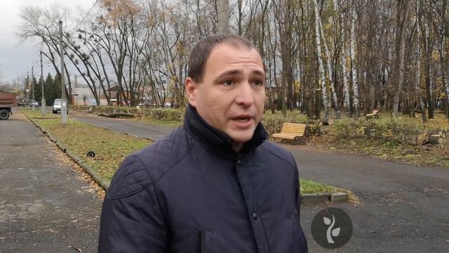 Эксперты: вырубка в Комсомольском парке - вынужденная мера смотреть онлайн
