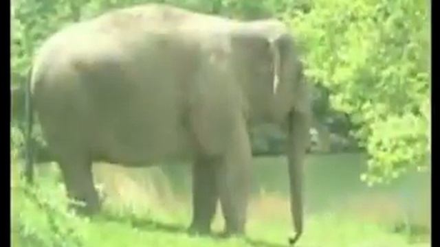 28 de enero de 2021 смотреть онлайн