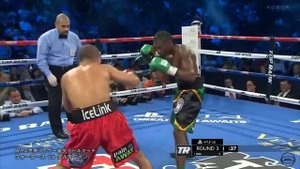 Nicholas Walters vs Vic Darchinyan Highlights