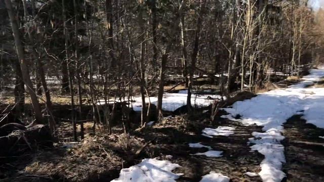 Сталинские дачи! тх850 с магнитом! Всего по чуть-чуть! смотреть онлайн