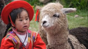 machu picchu   Totoras