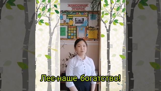 7 класс-"Вырубка леса-важная экологическая проблема" смотреть онлайн