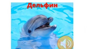 ЖИВОТНЫЕ для детей | Учим и угадываем животных | Учим названия и их звуки для малышей