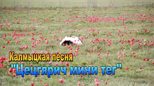 Песня из детства "Цецгярич мини тег". Элиста. Калмыкия. смотреть онлайн