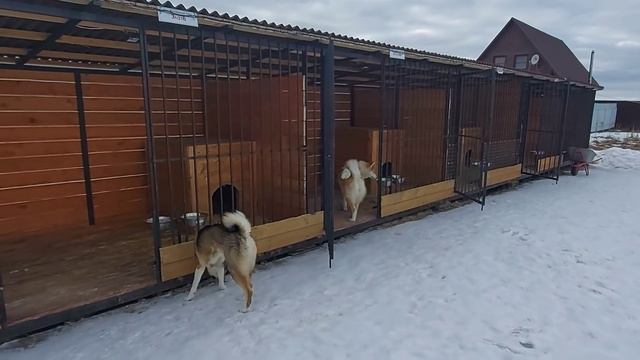 Лайки в играх/Весна идёт/ смотреть онлайн