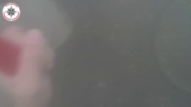 Это металлоискатель! - Подводный коп с металлоискателем Minelab Excalibur II