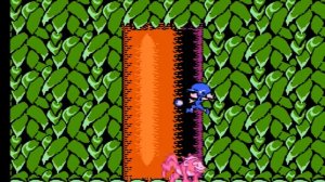 Trolls in Crazyland NES_Dendy прохождение