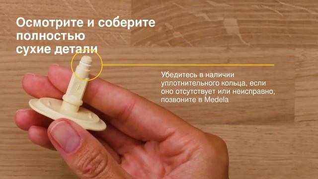 How to Harmony RU mp4 SMALL 1 смотреть онлайн