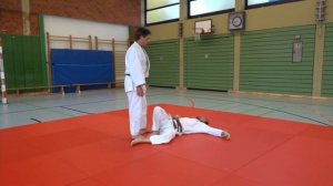 Боевое дзюдо варианты исполнения