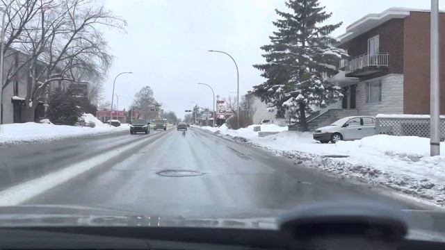 Сдача экзамена на права в Канаде Монреаль.Водительские права Канада.Виза CUAET.CUAET Канада#cuaet
