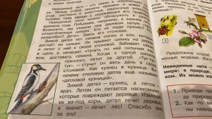 Окружающий мир/2 класс/Плешаков/Тема : «Невидимые нити»/15.10.20