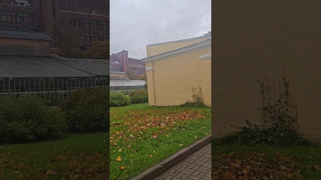 Ботанический сад в Санкт-Петербурге, часть 1