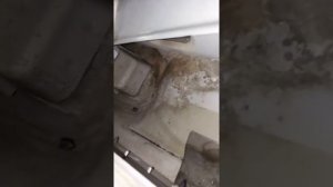 Заз шанс фильтр салона