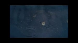 ВАДИМ РЯБОВ  "ПРОМОКШАЯ ДУША"