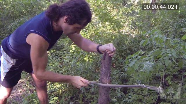 Сравнение лучковой и цепной пилы смотреть онлайн