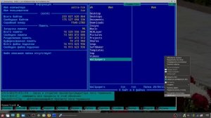 Крутая панель задач и настройка экрана в Astra Linux