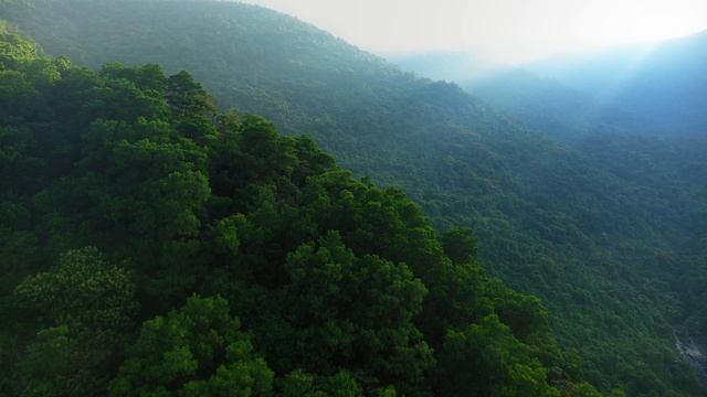 Test Upload Video