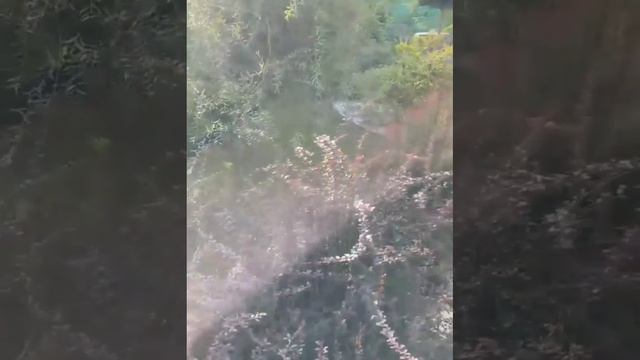 Наши авторские деревянные декоративные изделия.
